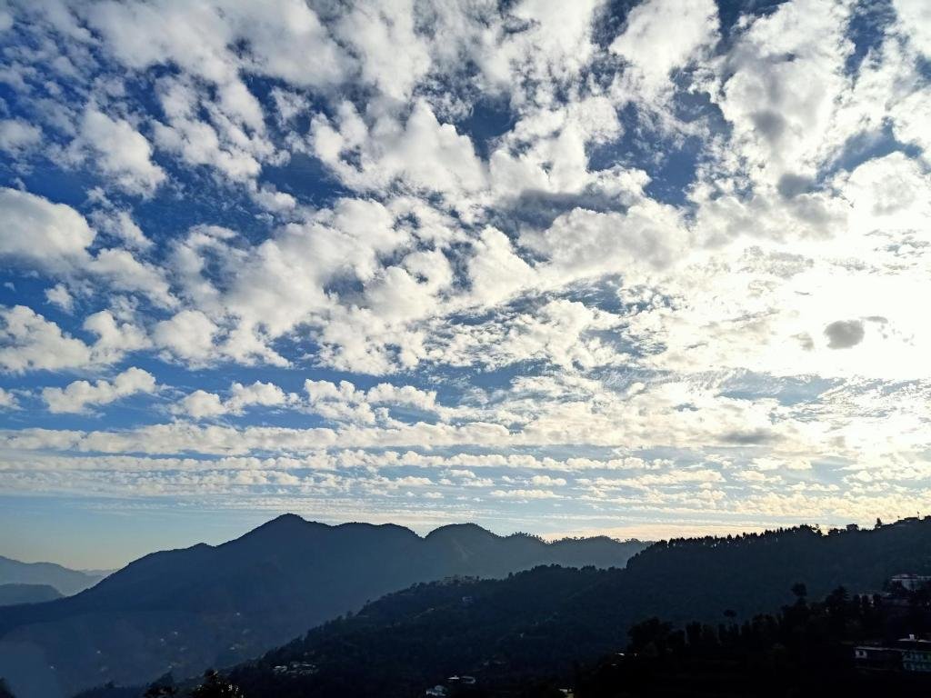 Hotel In Shimla - Mountain View