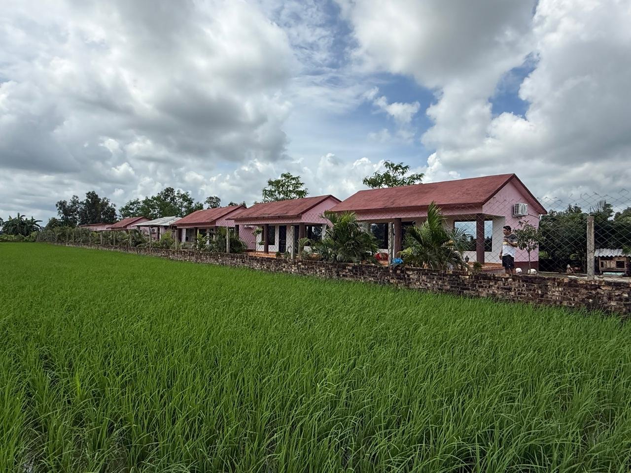 Sundarban Jangle Safari