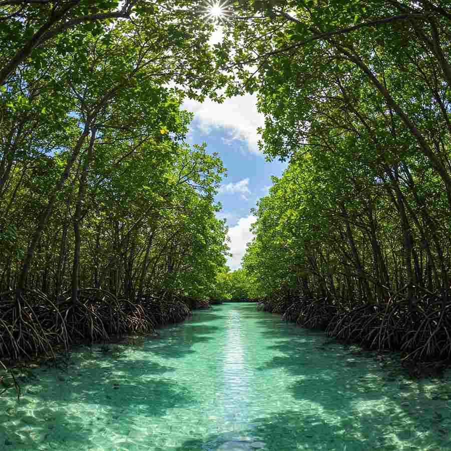 Baratang-Andaman