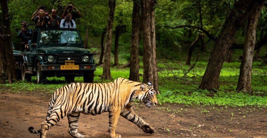 PENCH National Park