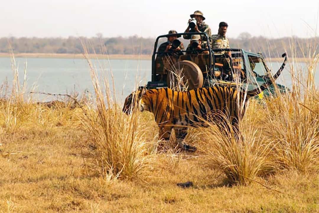 TADOBA Tiger Reserve